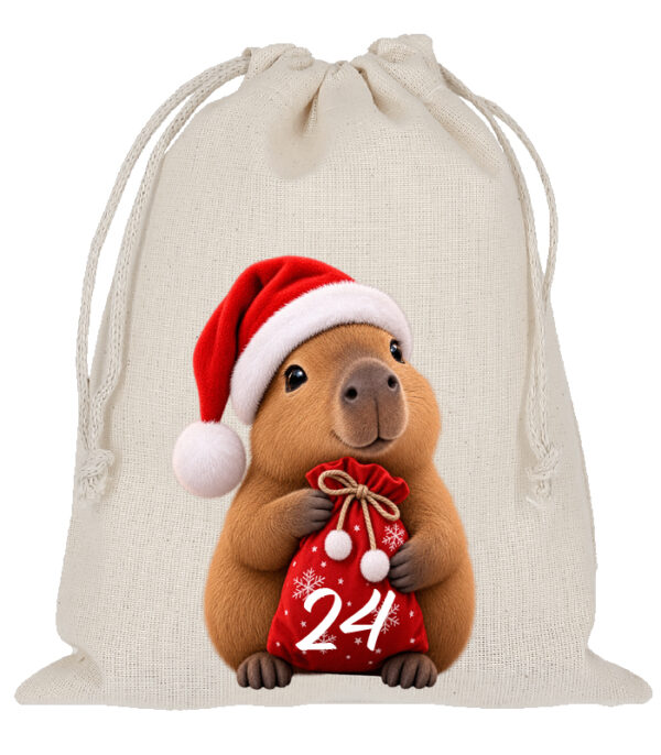 Adventskalender Saeckchen Zum Selbstbefuellen Fuer Jede Altersklassen Von 1 24 Mit Nikolausmuetze Einzel